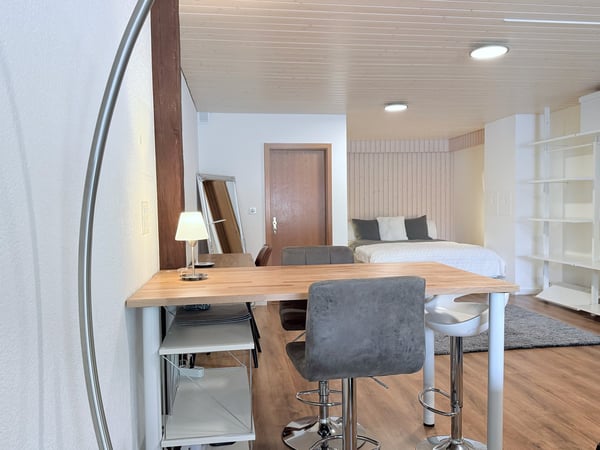 Loft meublé 1,5 pièce — tout compris — Courfaivre 3