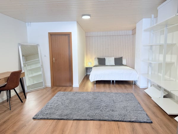 Loft meublé 1,5 pièce — tout compris — Courfaivre 6
