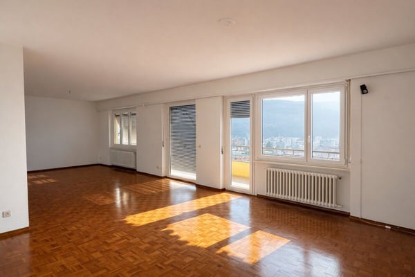 Grande e luminoso appartamento di 5.5 locali, ultimo piano, vista aperta 1