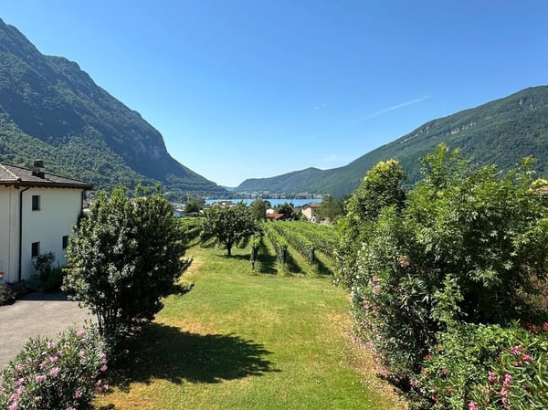 Interessante casa unifamiliare nel verde, con grande locale hobby/garage e parziale vista lago 6