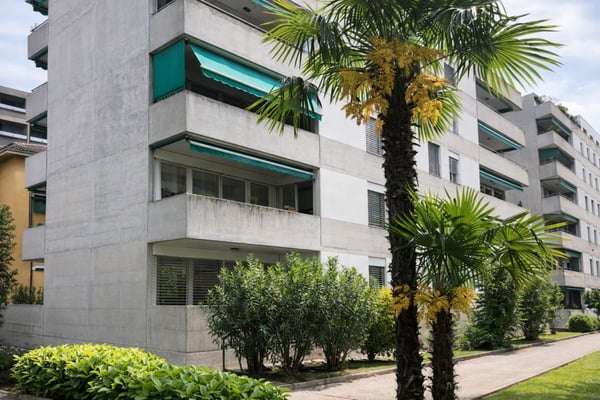 Rinnovato e centrale appartamenti di 3.5 locali affittato 3