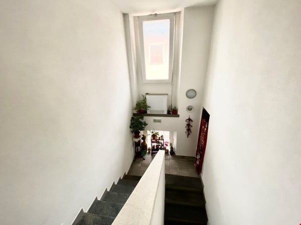 Rinnovata casa indipendente in zona verdeggiante e tranquilla 4