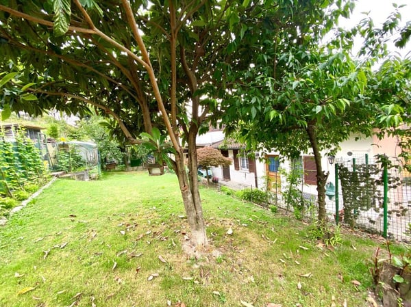 Casa di tre appartamenti per investimento a reddito 11