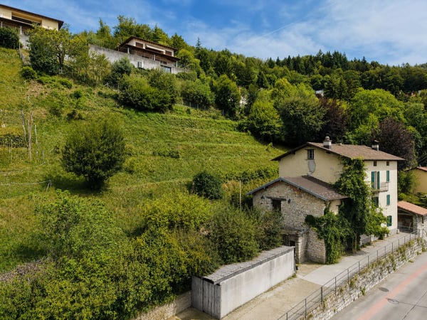 Grande terreno edificabile con costruzione esistente e ulteriori 3 lotti boschivi 2
