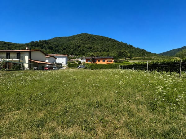 Terreno edificabile pianeggiante, nel verde e con progetto approvato 6