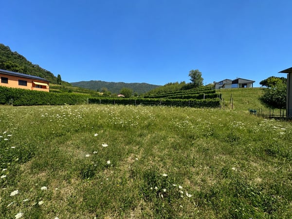 Terreno edificabile pianeggiante, nel verde e con progetto approvato 7