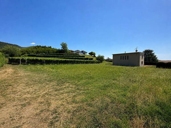 Terreno edificabile pianeggiante, nel verde e con progetto approvato 2