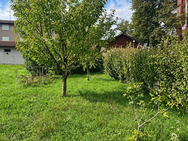 Piccola casa bifamiliare da risanare con rustico e giardino 15
