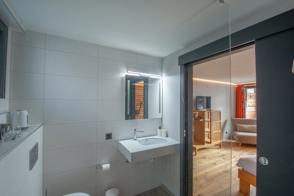 Chalet individuel / maison d’hôtes aux Vérines (Chamoson) 13