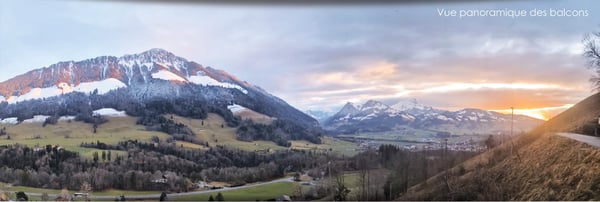 Chalets d'architecte de 3.5 pièces à Châtel-sur-Montsalvens 17