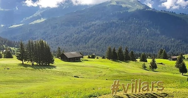 Appartements de 2,5 pièces dans une nouvelle résidence à Gryon. 5