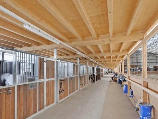 Centre équestre de renom à Yverdon-les-Bains 18