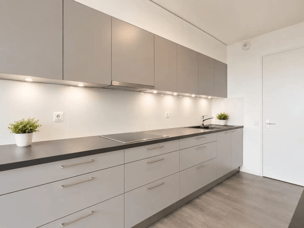 Bel appartement avec piscine et vue sur le Léman 4