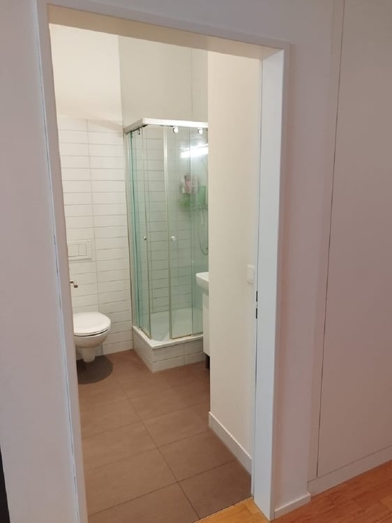 Helle 3-Zimmer-Wohnung mit Balkon in Dietikon – sofort verfügbar! 7