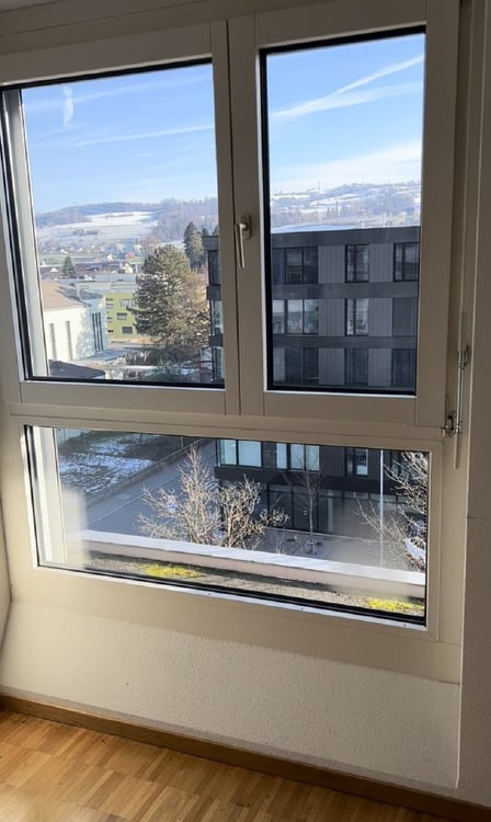 Gemütliche 2-Zimmer-Wohnung an zentraler Lage in Zug 2
