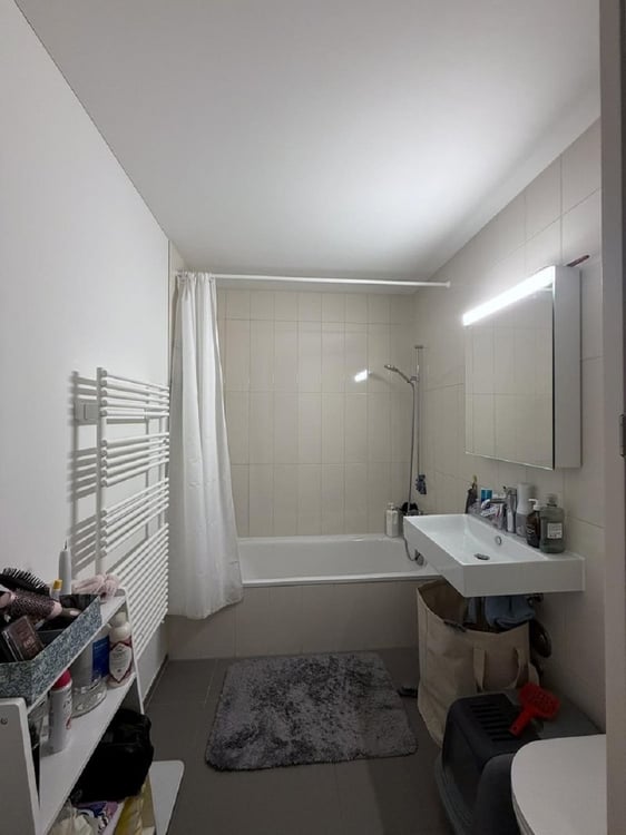 Moderne 2.5-Zimmer-Wohnung mit Balkon und Stadtblick in Zürich-Binz 6