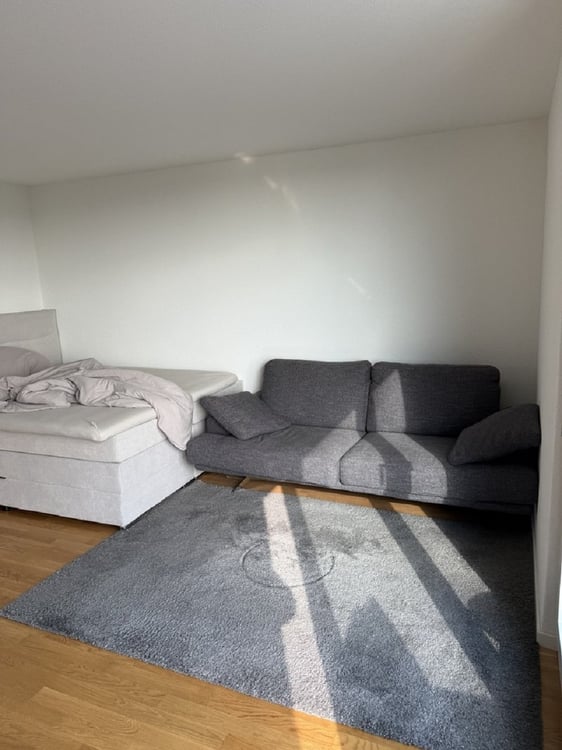 Moderne 1-Zimmer-Wohnung mit Balkon in Solothurn – sofort verfügbar! 9