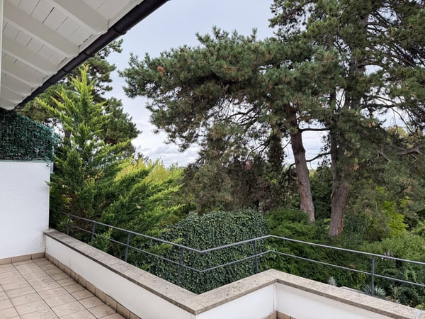 6.5-Zimmer-Doppeleinfamilienhaus mit grossem Garten, Pool und Weitsicht 17