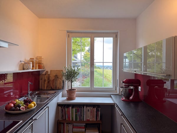 6.5-Zimmer-Doppeleinfamilienhaus mit grossem Garten, Pool und Weitsicht 8