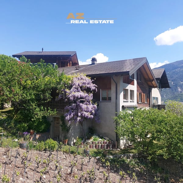 MAISON DE CHARME AU COEUR DES VIGNES 1