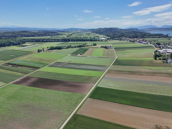 Attraktives Bauland in Täuffelen – 1'567 m² mit Aussicht und Gelegenheit Neues entstehen zu lassen 16