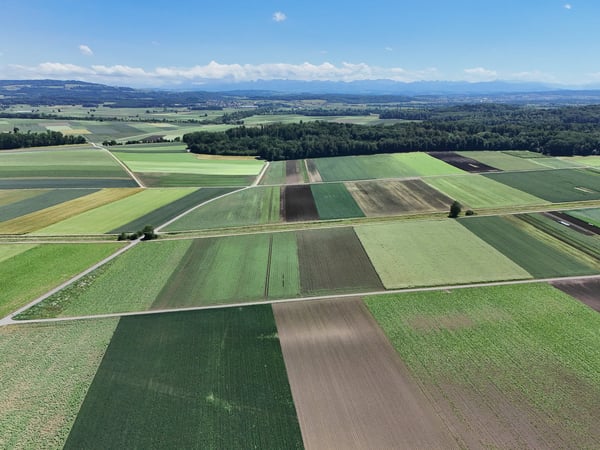Attraktives Bauland in Täuffelen – 1'567 m² mit Aussicht und Gelegenheit Neues entstehen zu lassen 15