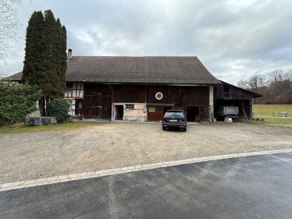 Charmantes 7.5-Zimmer-Bauernhaus in Winkel zu vermieten 4