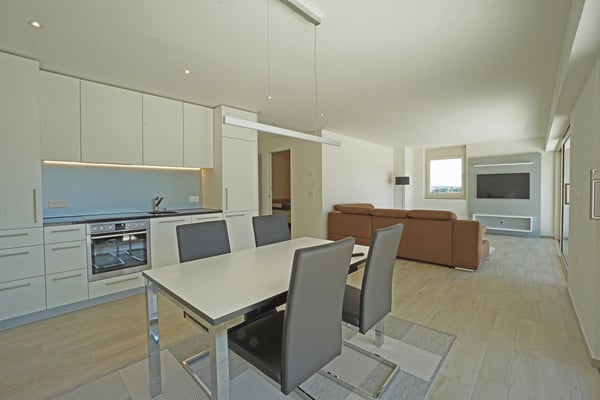 Möblierte Attika 2.5-Zimmerwohnung mit 47m2-Terrasse 4
