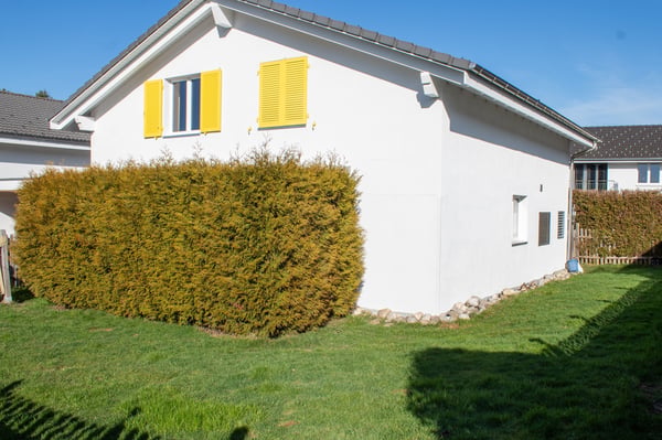 Modernes 5.5-Zi.-Einfamilienhaus in ruhiger Lage 8