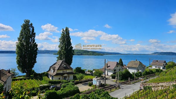 Charmantes Winzerhaus mit Seesicht – Wohnen in privilegierter Lage 1
