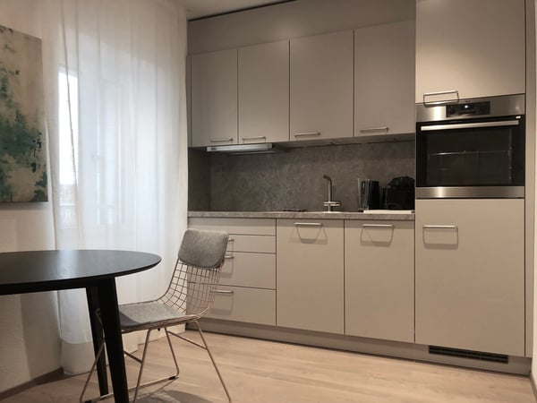 Charmantes möbliertes 1-Zimmer-Apartment im Herzen von Zürich 2