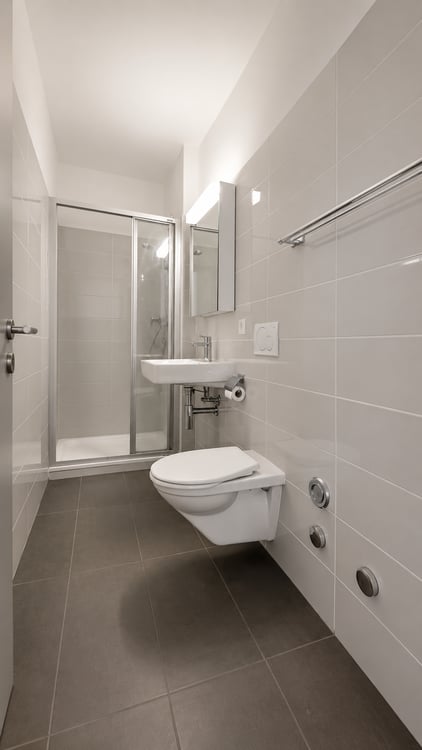 Appartement de 4.5 pièces avec roof top en terrace / Vevey 12