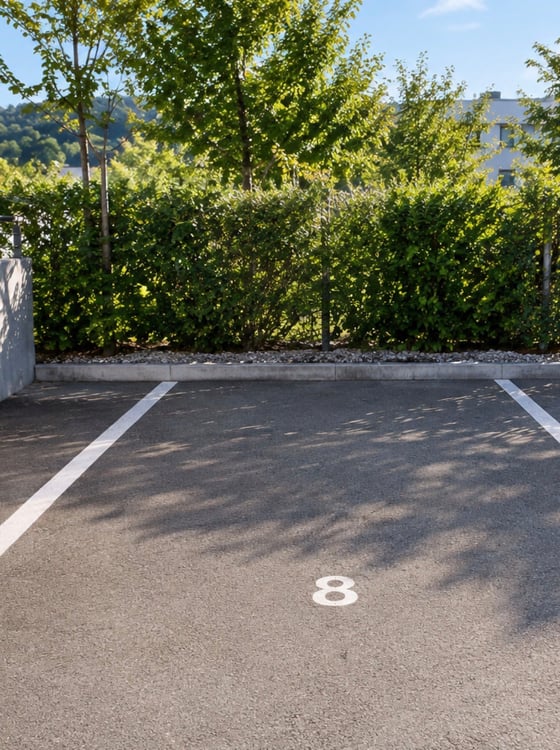 Appartement de 4.5 pièces avec roof top en terrace / Vevey 18