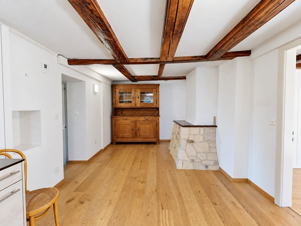 Maison de maître avec 4 appartements à Chevroux 15