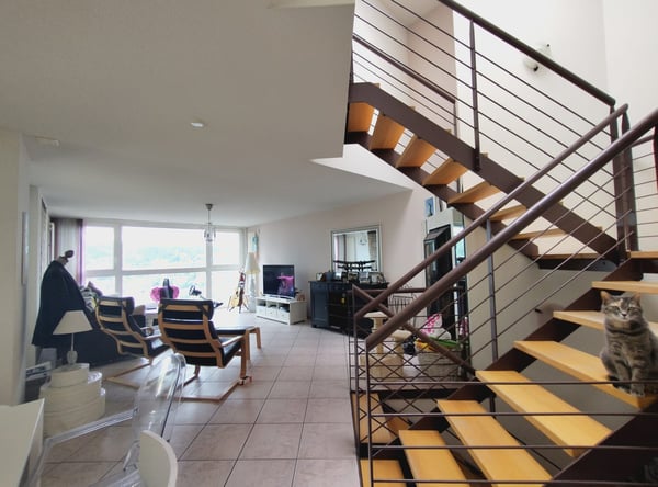 Maison contiguë triplex spacieuse et lumineuse à La Chaux-de-Fonds 3
