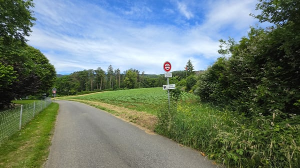 6.5-Zi.-Einfamilienhaus mit grossem Garten in Lupsingen 13
