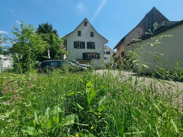 Charaktervolles 3-Familienhaus mit Potenzial in Hölstein kaufen 7