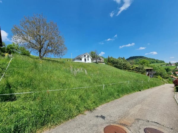 Grosses Baugrundstück mit Weitsicht in Bretzwil kaufen 3