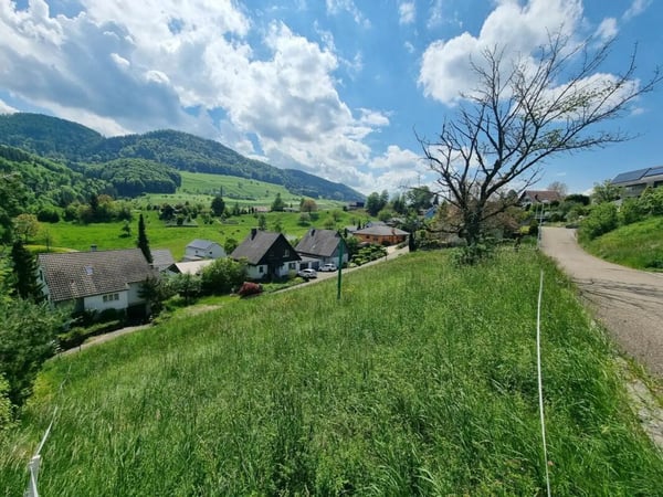 Grosses Baugrundstück mit Weitsicht in Bretzwil kaufen 2
