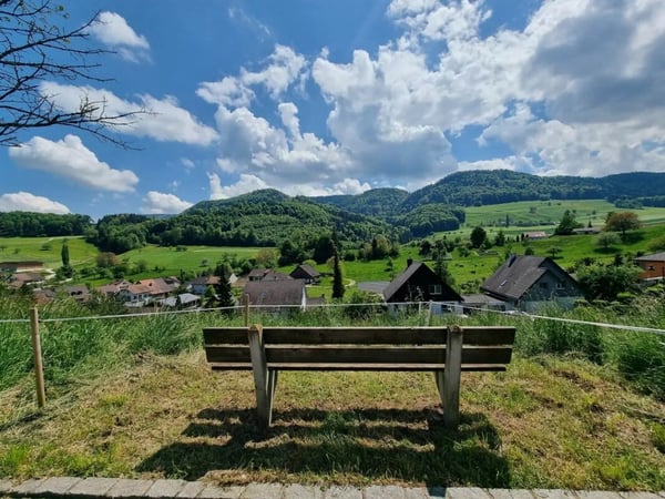 Grosses Baugrundstück mit Weitsicht in Bretzwil kaufen 9
