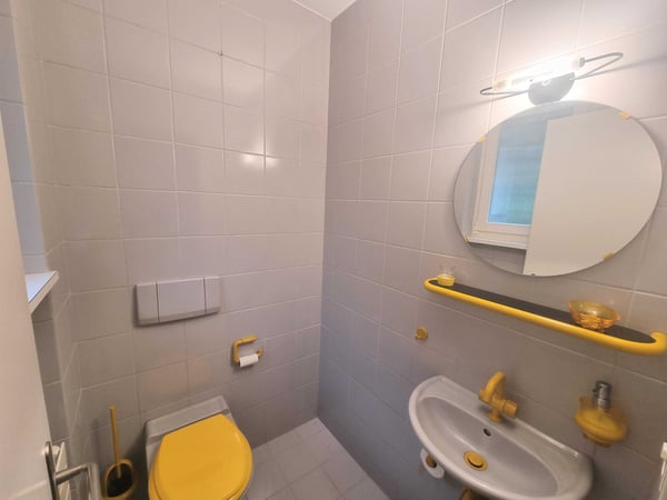 10-Zimmer-Villa mit Bergsicht und Wintergarten in Riehen kaufen 10