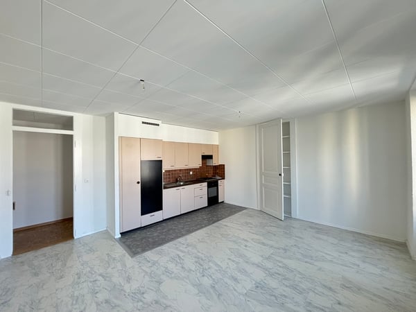 Grand appartement de 3 pièces au centre de Lausanne 3