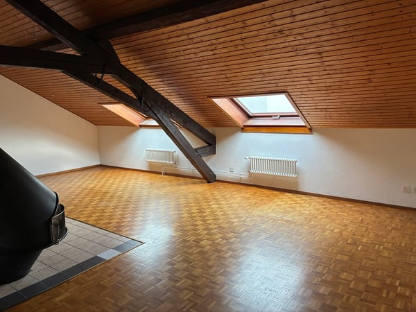 Grand appartement de 2 pièces sous combles dans immeuble historique 2