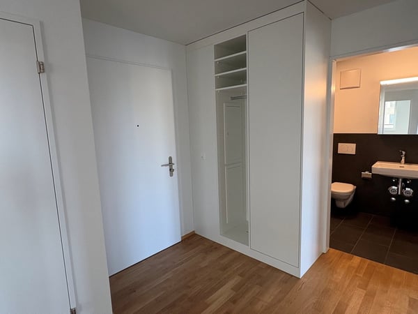 Moderne 4.5-Zimmer-Wohnungen in Egnach 5
