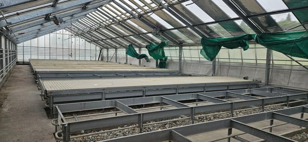 Fläche in Gewächshaus in Gossau ZH 2