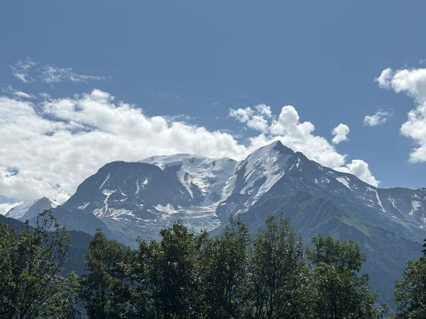 Chalet d'exception entièrement rénové avec vue panoramique sur le Mont-Blanc 1