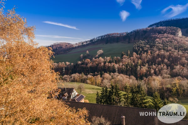 Voll erschlossene Bauparzelle (bebaut) mit Aussicht in Hauenstein-Ifenthal kaufen 4