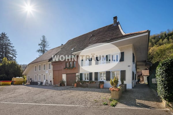 8-Zimmer Eckhausteil mit Gartenhaus und grossem Grundstück