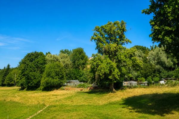Romont - Parcelle agricole idéalement située à deux pas de la gare 19