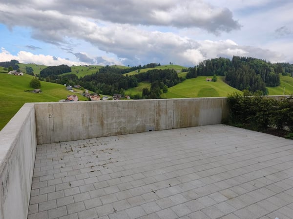 6.5-Zi. Reihenendhaus mit Säntisblick in Dicken 4